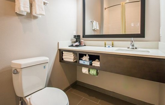 Executive Inn Fort Worth - Private Bathroom